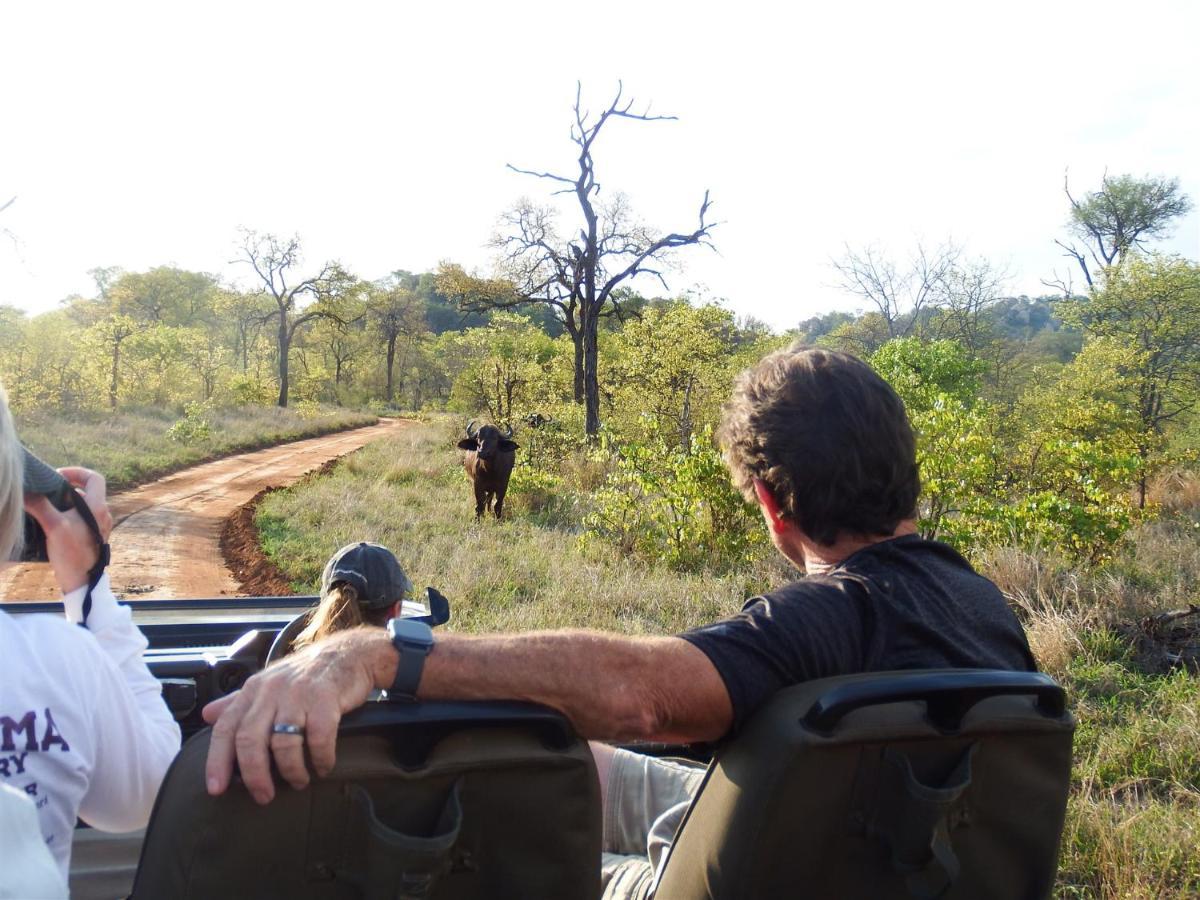 Hotel Ndzuti Bush Camp à Réserve de Balule Extérieur photo