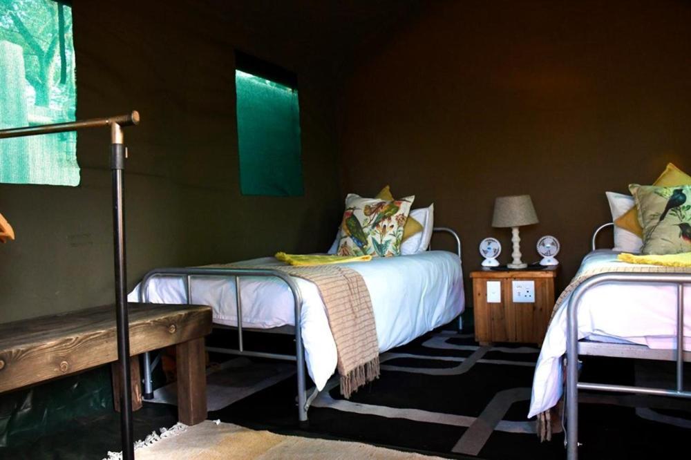 Hotel Ndzuti Bush Camp à Réserve de Balule Extérieur photo