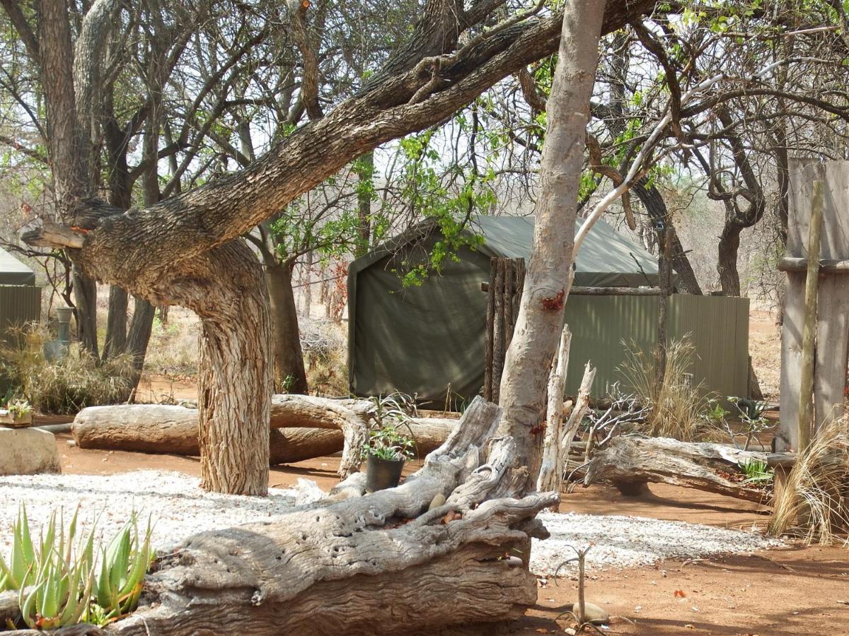 Hotel Ndzuti Bush Camp à Réserve de Balule Extérieur photo