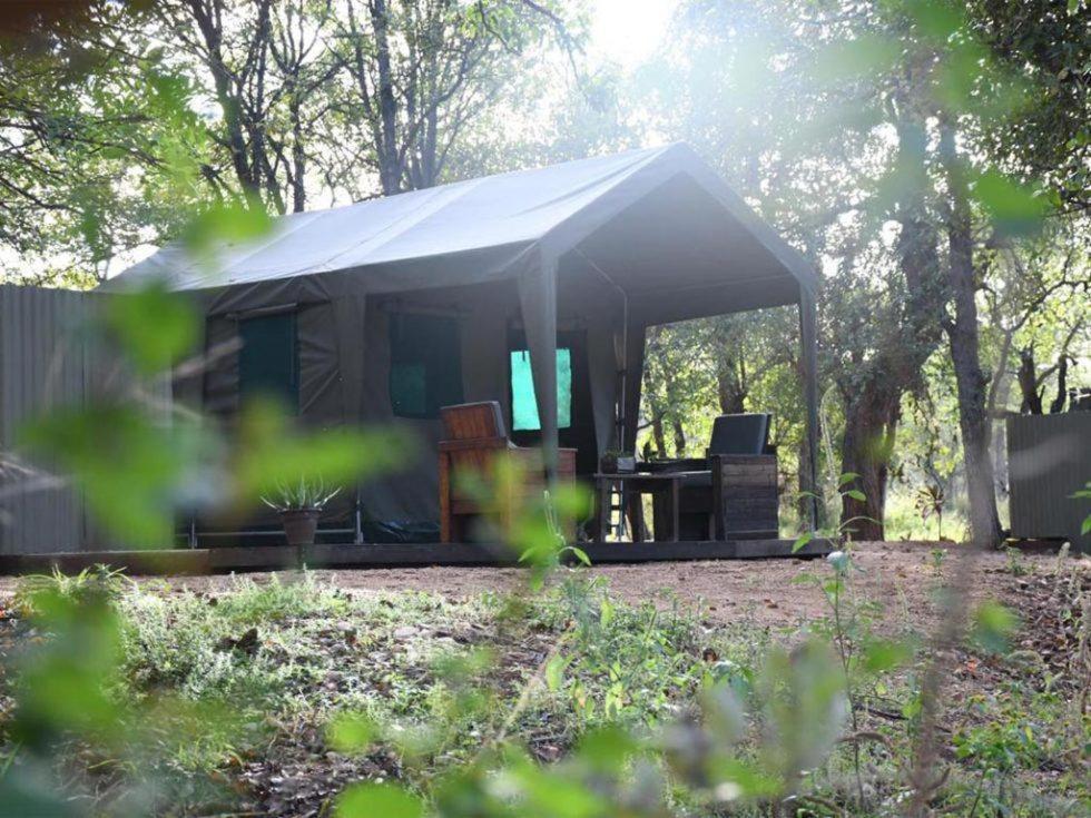 Hotel Ndzuti Bush Camp à Réserve de Balule Extérieur photo