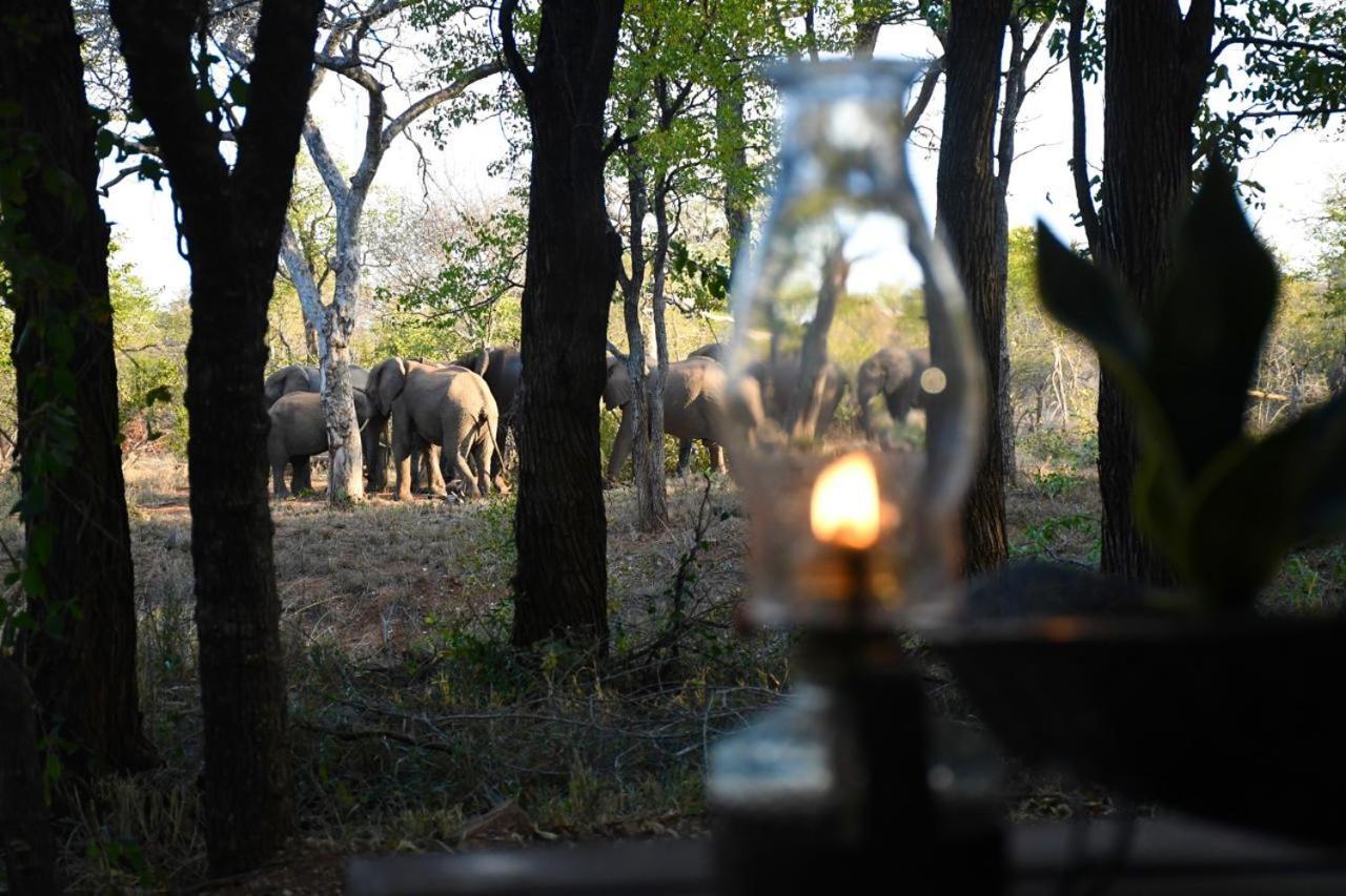 Hotel Ndzuti Bush Camp à Réserve de Balule Extérieur photo