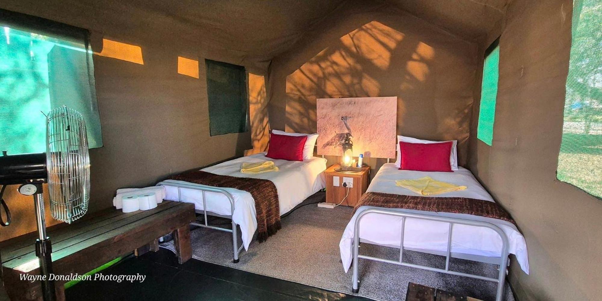 Hotel Ndzuti Bush Camp à Réserve de Balule Extérieur photo
